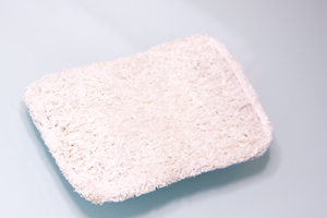 picture of sponge