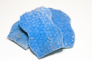 Photo of old sponges